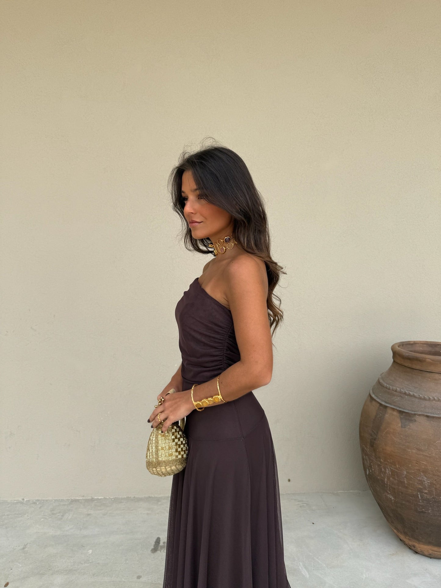 Toledo Tulle Maxi Dress in Chocolate