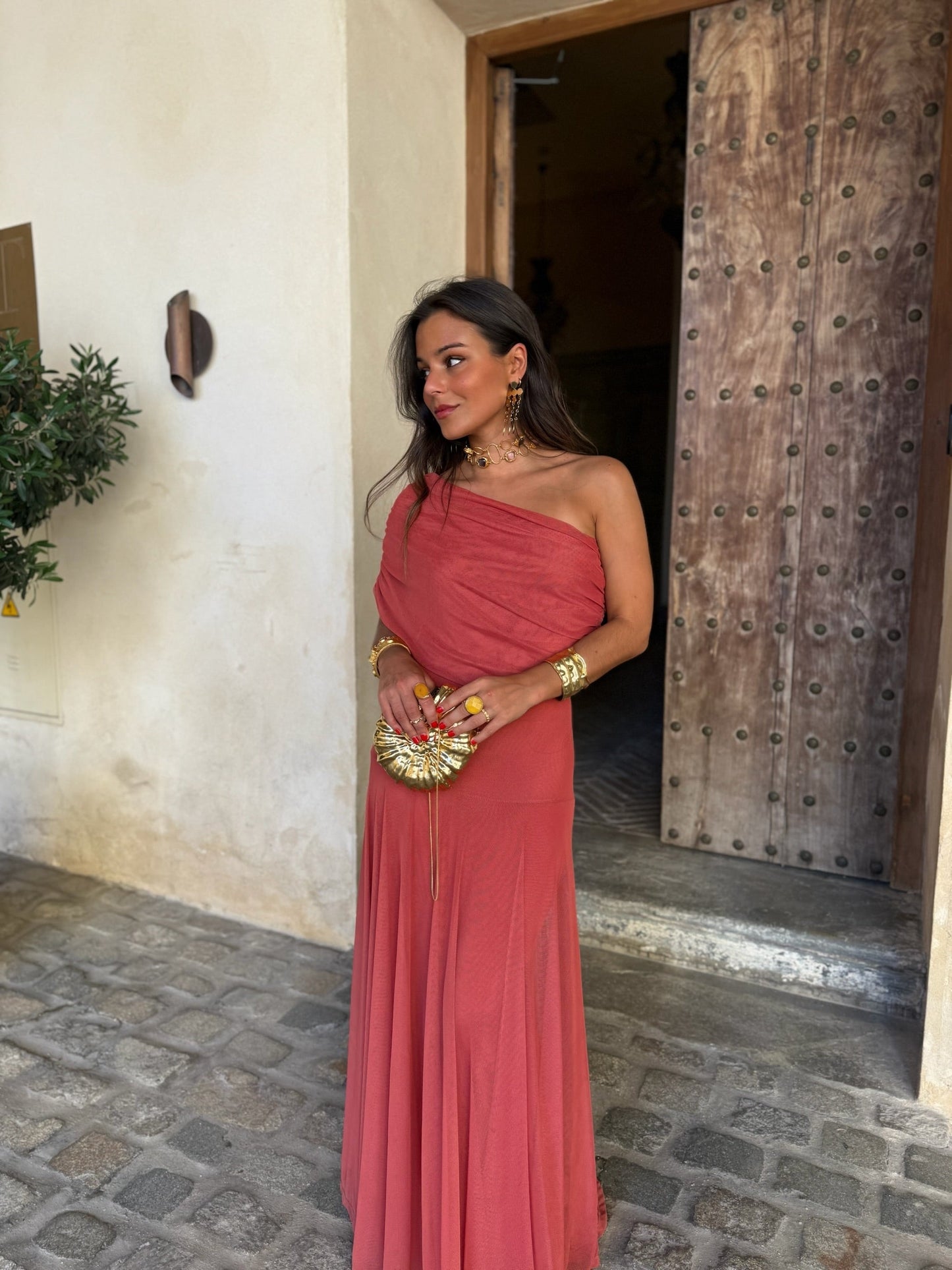 Toledo Tulle Maxi Dress in Clay